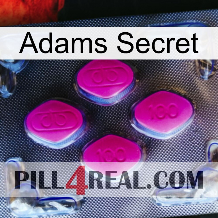 Adams Secret 02